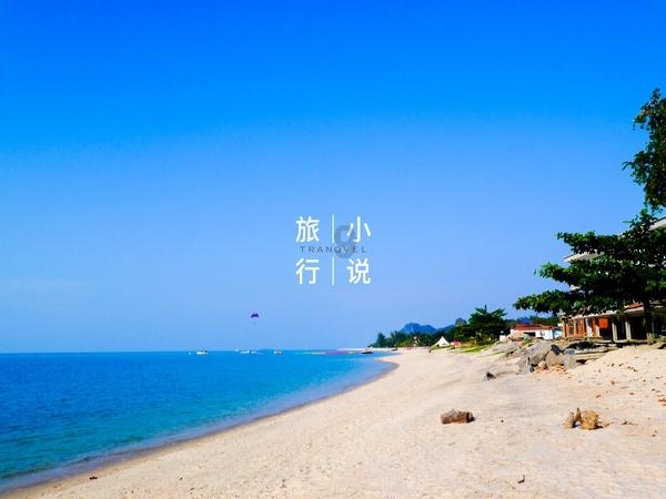 贪吃鼠吃豆豆